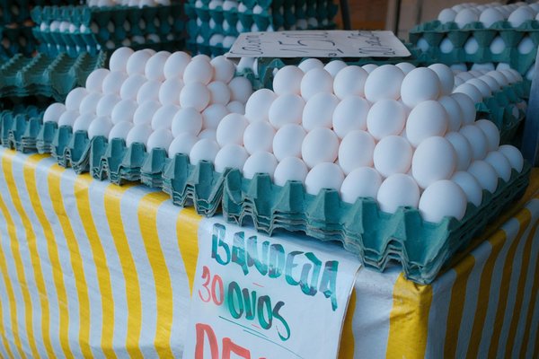 Accélérer votre préparation avec un cuiseur vapeur